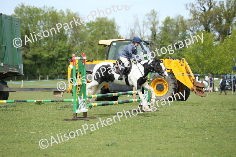 20260426-2053 - Class 15 - Absolute Novice 70cm