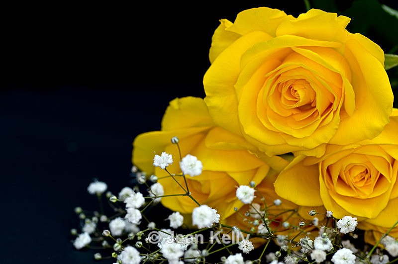 Flower - 6722 - Yellow