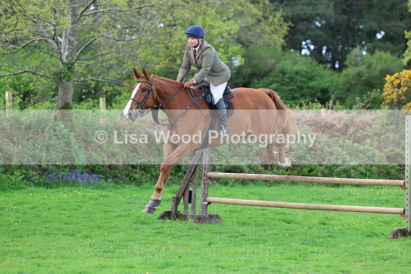 3E7A2538 - Classes 30 and 31: 80cm Working Hunter