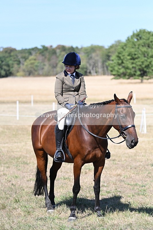 WJ7_1339 - Class 41 Prettiest Mare