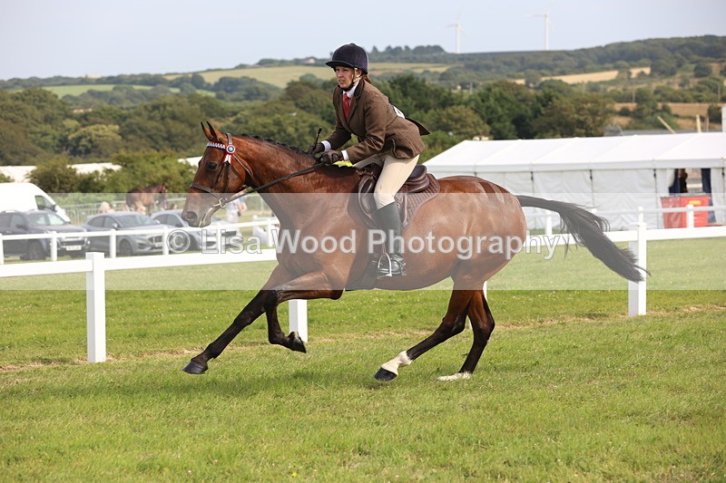 JPP_4263 - Class 25: Working Show Horse