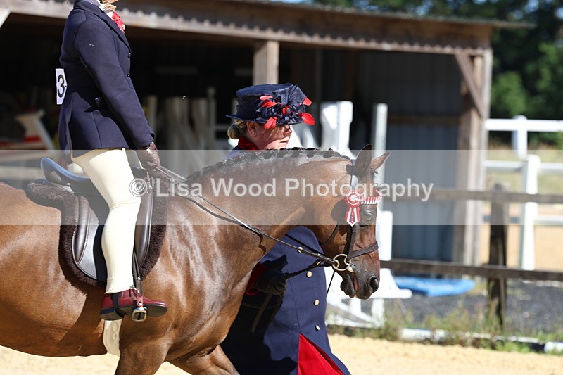 3E7A8056 - Class 15: Lead Rein