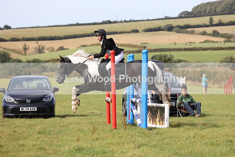 JPP_8625 - Class 2: Trekenning: 80cm Showjumping