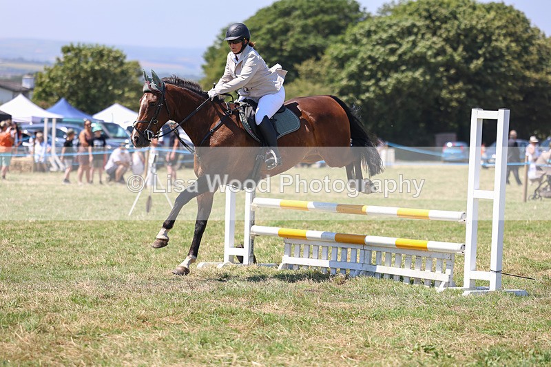 3E7A4333 - Class 10: Senior British Novice/90cm open