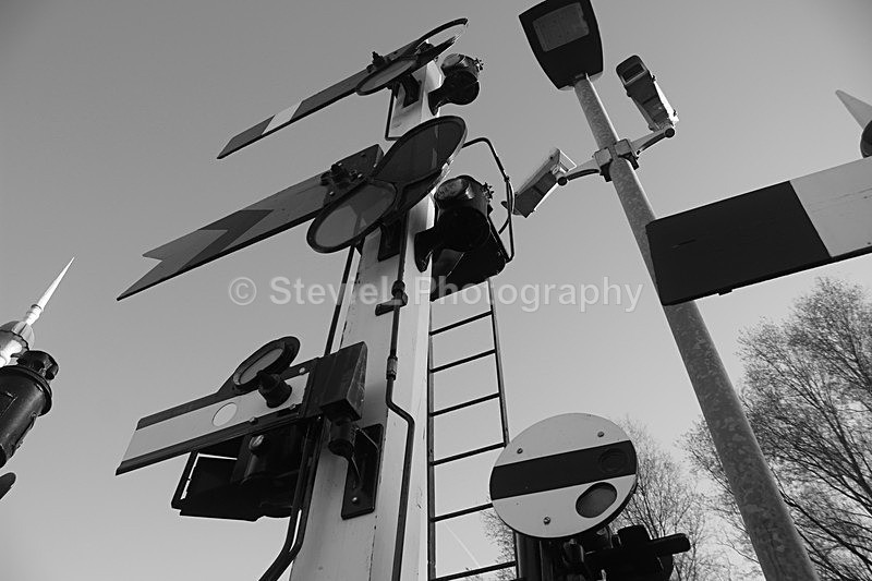 IMG_3420BW - Nice Shots