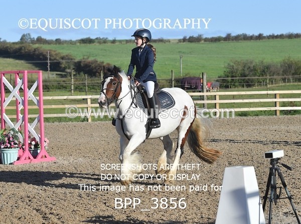 BPP_3856 - CLASS 0 Clear Round Show Jumping