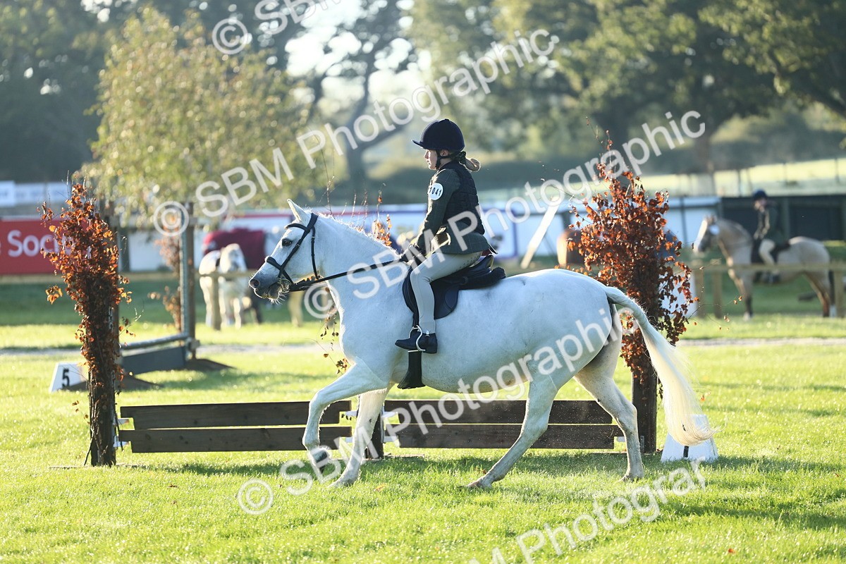 SBM_31706 - S28 - Nursery Stakes Working Hunter Pony