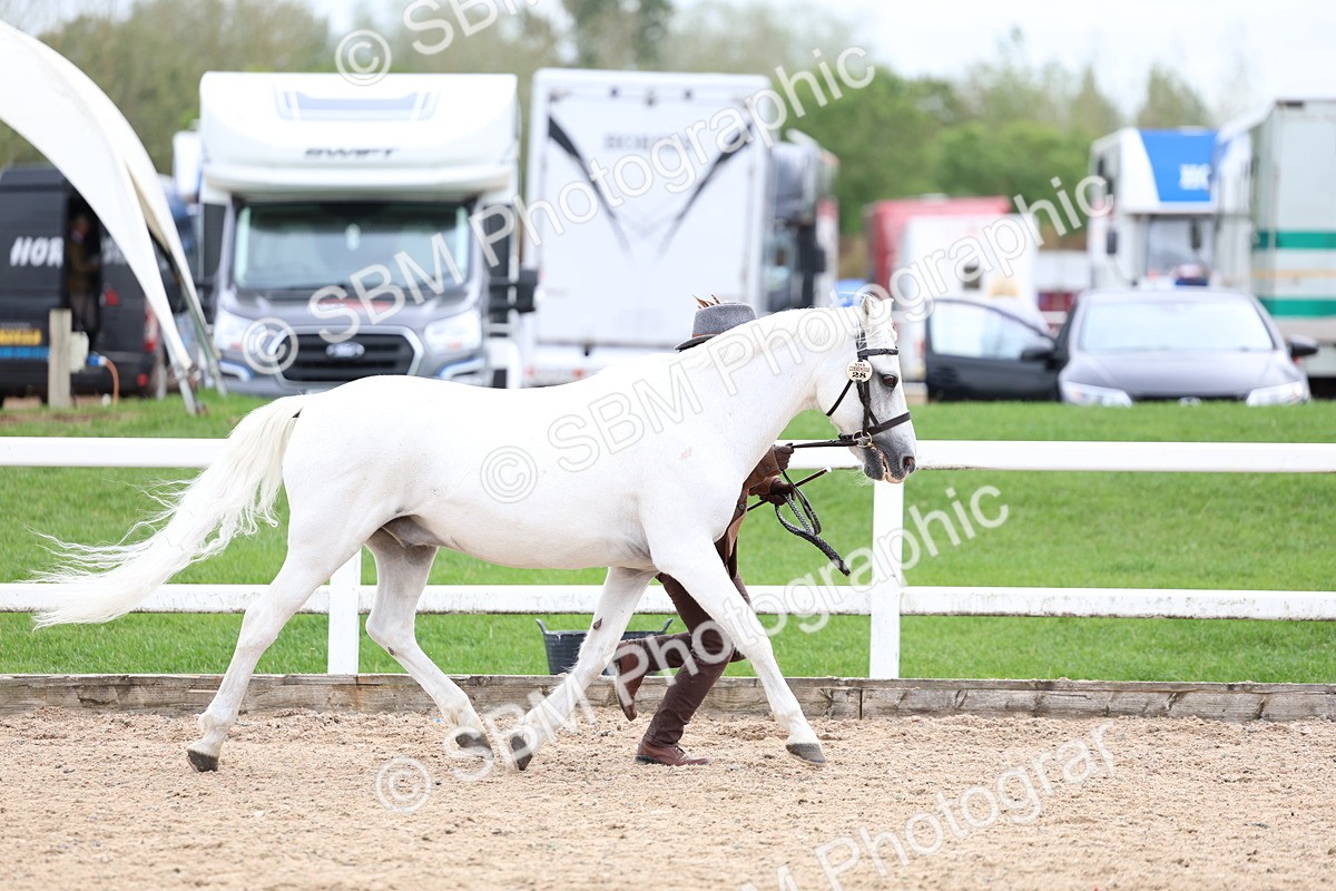 SBM_05885 - Class 29 - IH Veteran Pony
