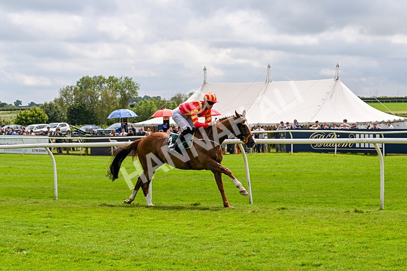 180624-Race 1-The Dancing Poet-9977