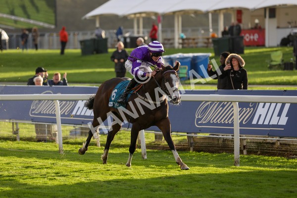 131023-Race 6-Wen Moon-9900 - Race 6 5.00pm Copper Knight - Winning Most Horse At York Handicap