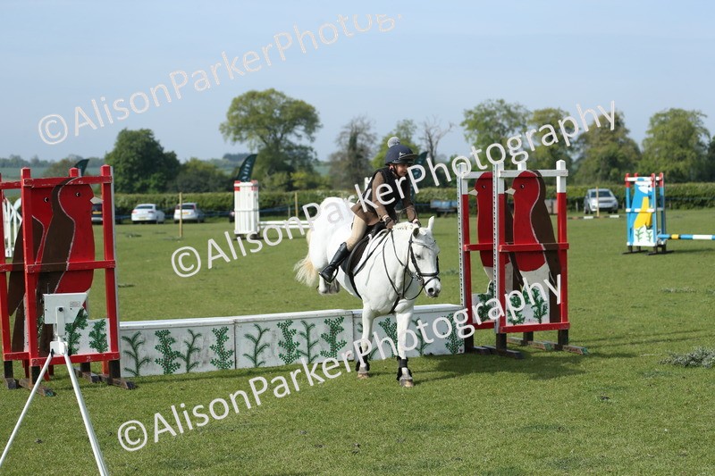20260426-0221 - Class 13 - Rookie Jumping 50cm