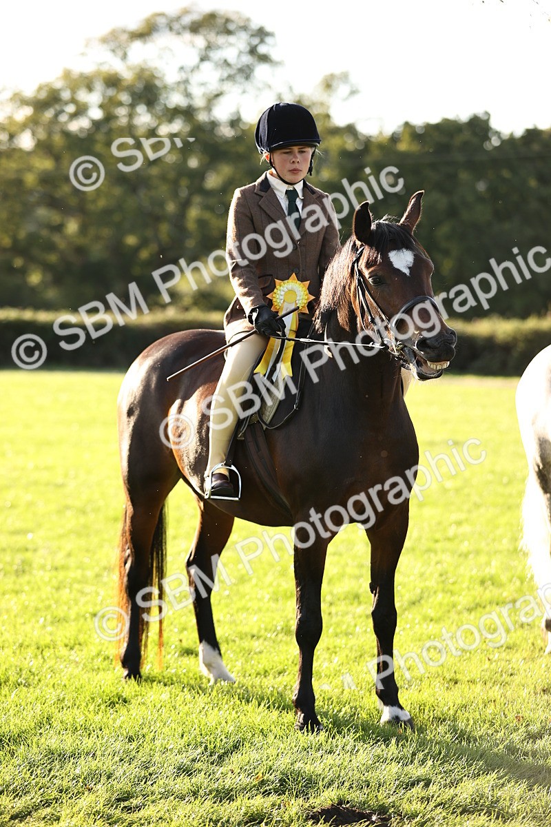SBM_29652 - S7 - Novice & Newcomers Ridden Pony