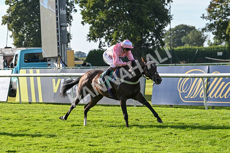 160924-Race 7-Style Of Life-3271 - Race 7