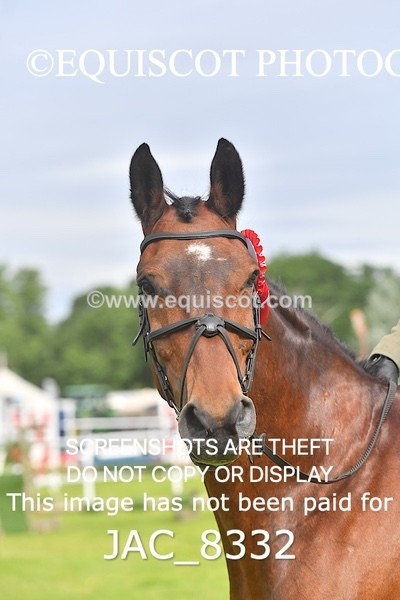 JAC_8332 - CLASS 1 BHS 1M SCONE QUALIFIER