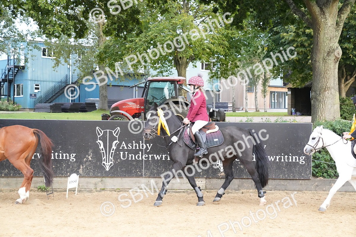 SBM_74963 - J4 - Mini Tour Junior Pony 45cm Championship