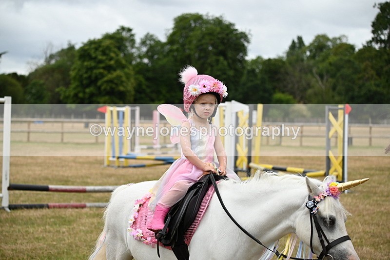 WJ6_4676 - Class 11 Fancy Dress