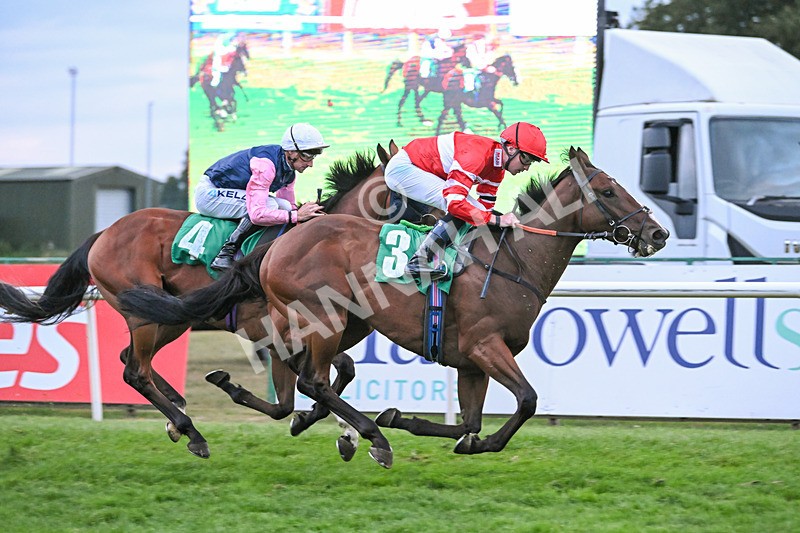 150825-Race 6-Made All-3161 - Race 6