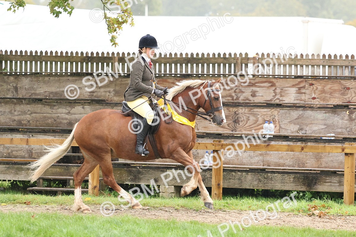 SBM_73124 - Ridden Pony Supreme Championship