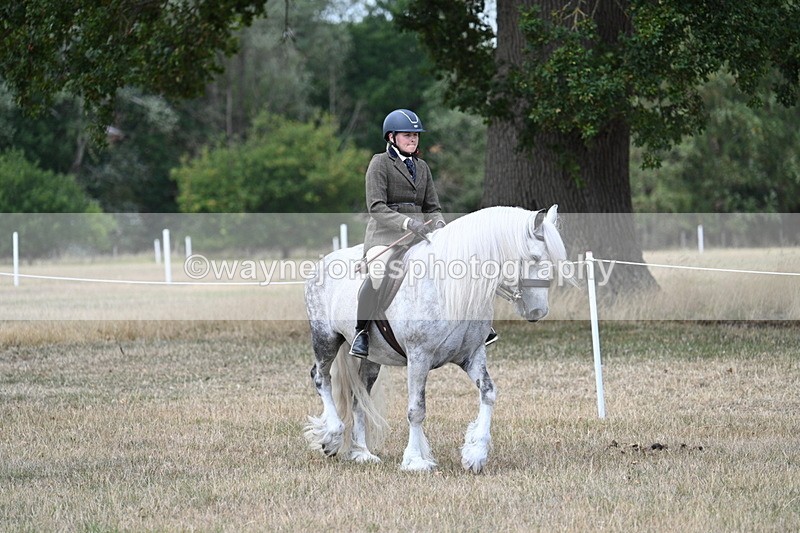 WJ7_4740 - Class 12 Ridden Cob