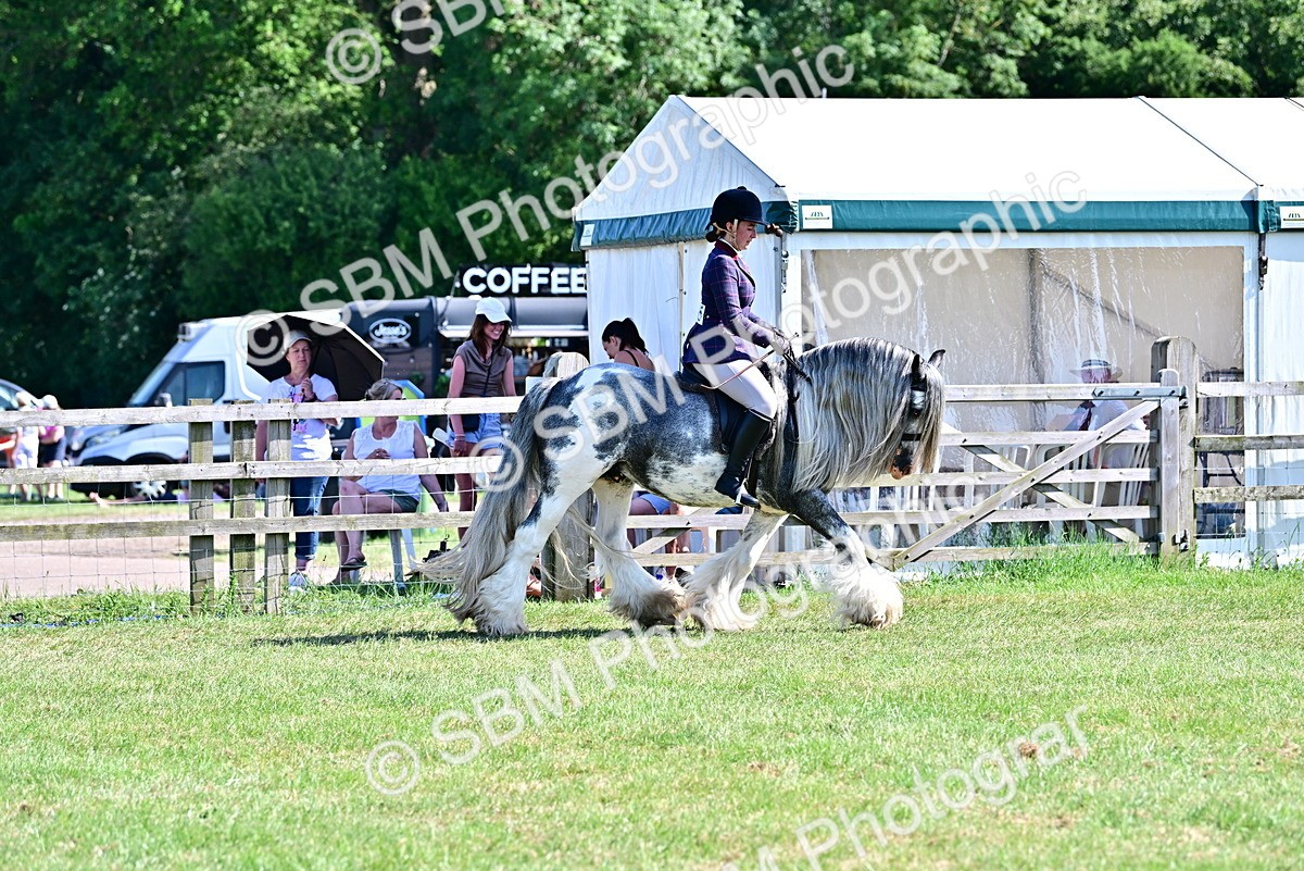 SBM_19419 - Class 101-102 - BSPS LIHS Performance Coloured Horse/Pony
