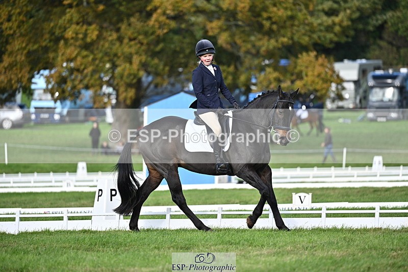251024A-141440-12371 - D-369-Rosie.Moreton