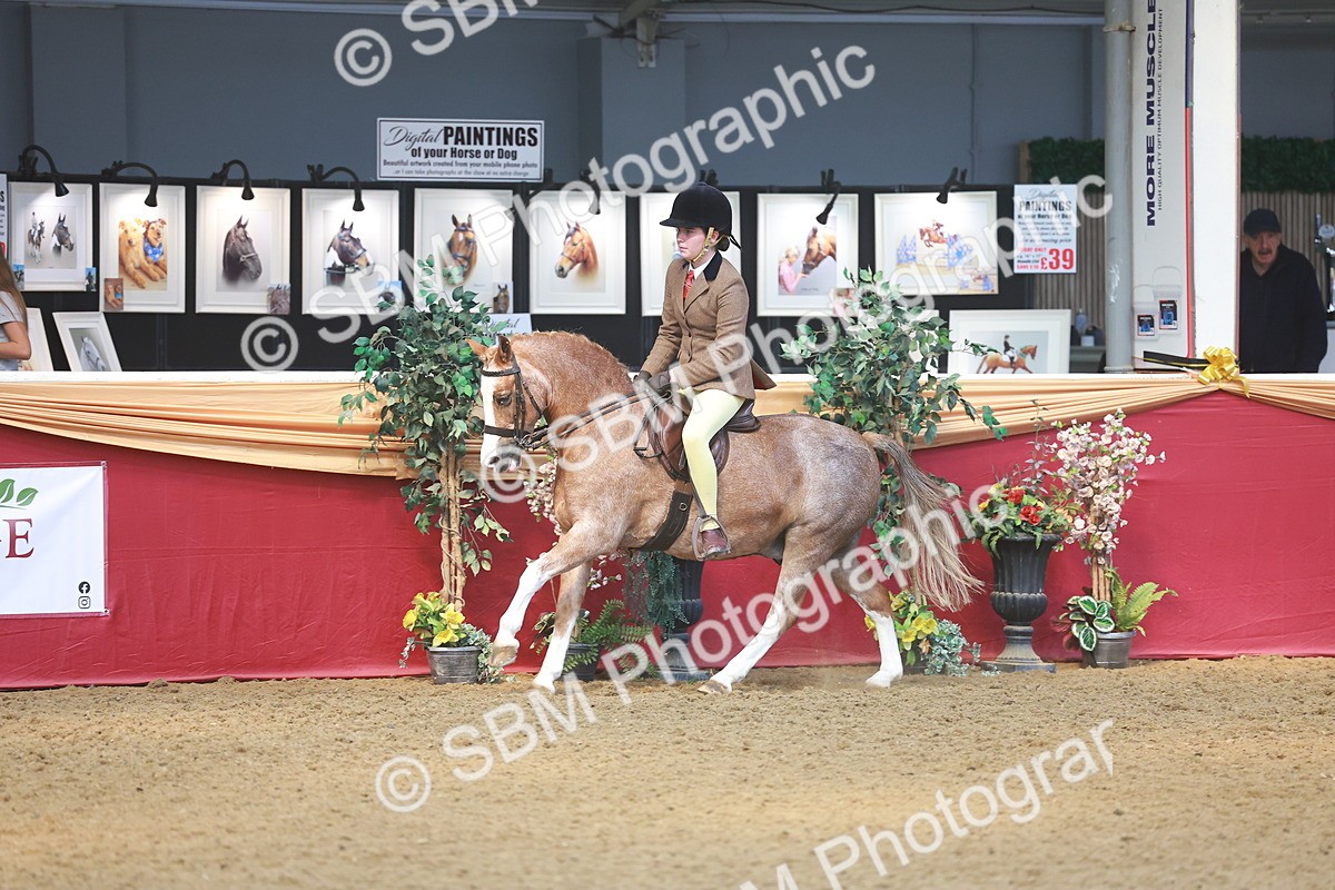 SBM_12512 - Class 103 - HOYS Veteran Qualifier - Ridden Pre Vet