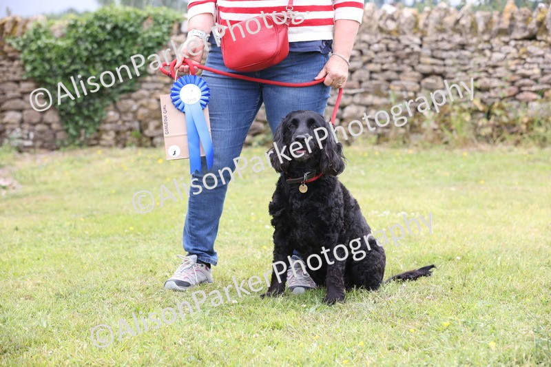 20250607-0133 - Class 2 - Gorgeous Girl