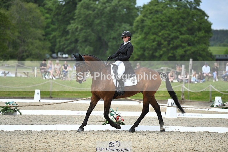 230525-114406-01891 - 103-CLOUDED_LEOPARD-Jessica_Coombes-WEDTrotUp+DR