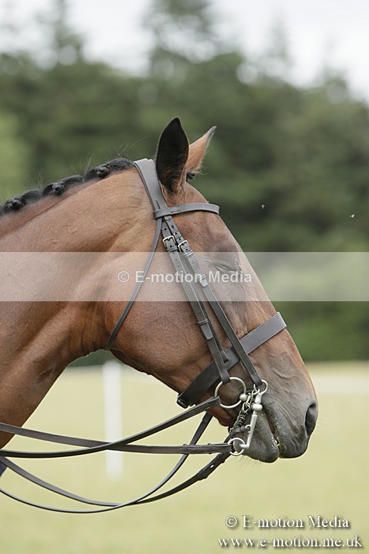 BVR160717-2393 - Side Saddle Classes 16/07/17