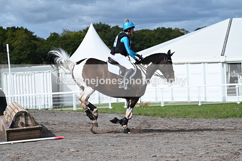 WJ7_0557 - Time 11:36 to 12:00