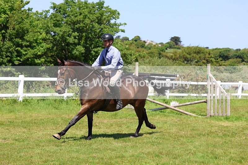 3E7A7317 - Class 30: Novice Working Hunter