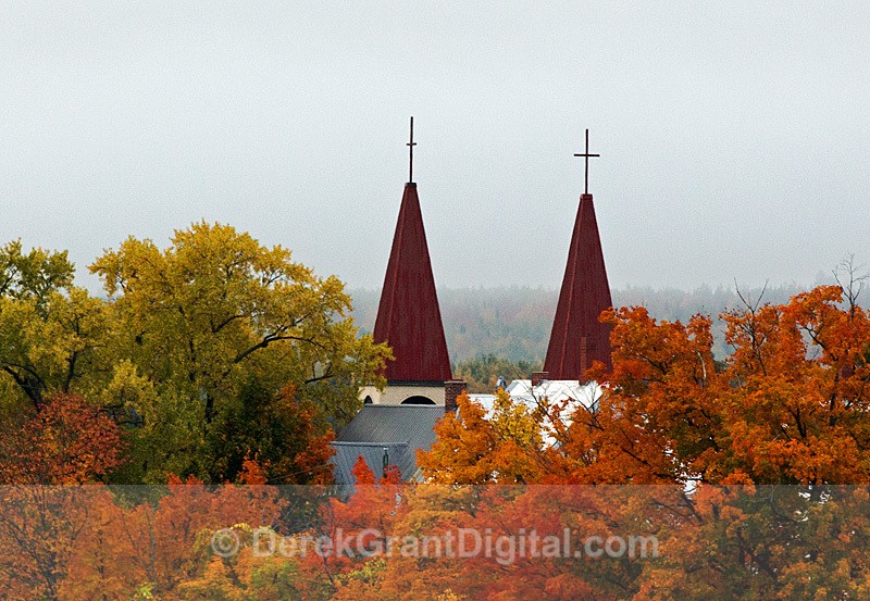 Woodstock New Brunswick Autumn Foliage - Autumn Foliage