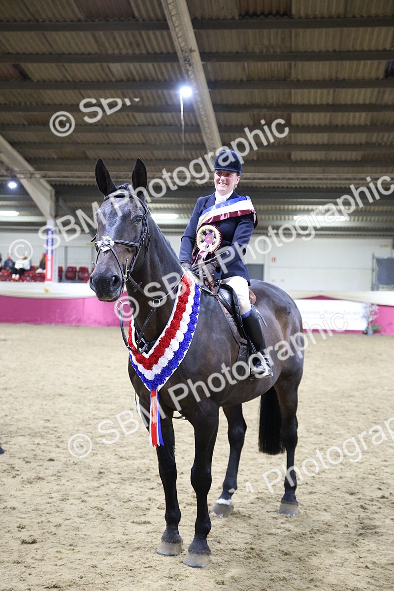 5K7A1620 - Class R Working Veteran Champ