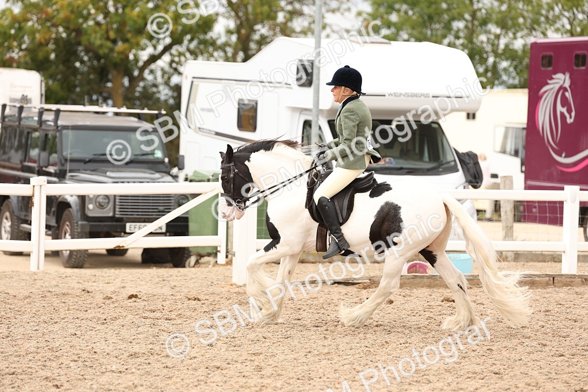 SBM_19686 - Class 216 - Ridden Traditional - Native Cob