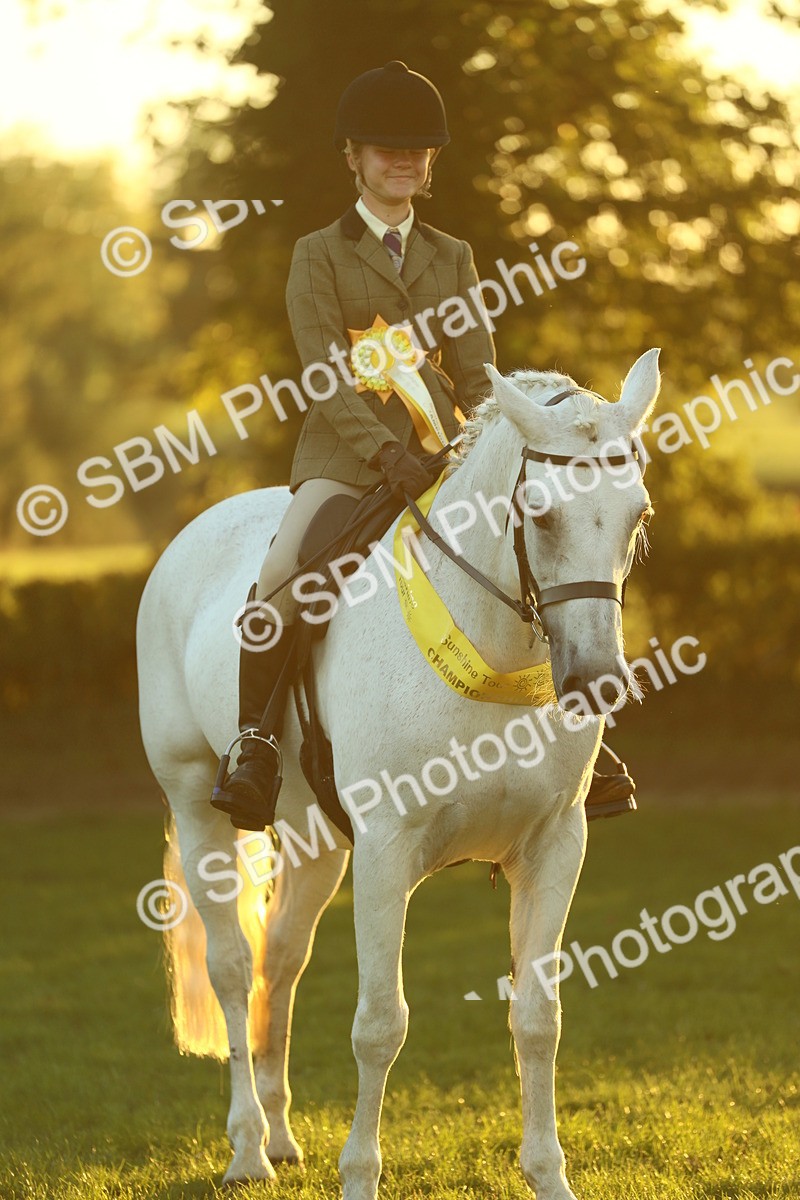 SBM_56647 - Fun & Versatile Supreme Championship