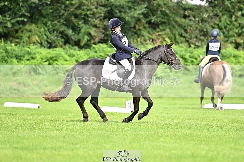 230826-102131-16453 - Sections A & B 10 to End