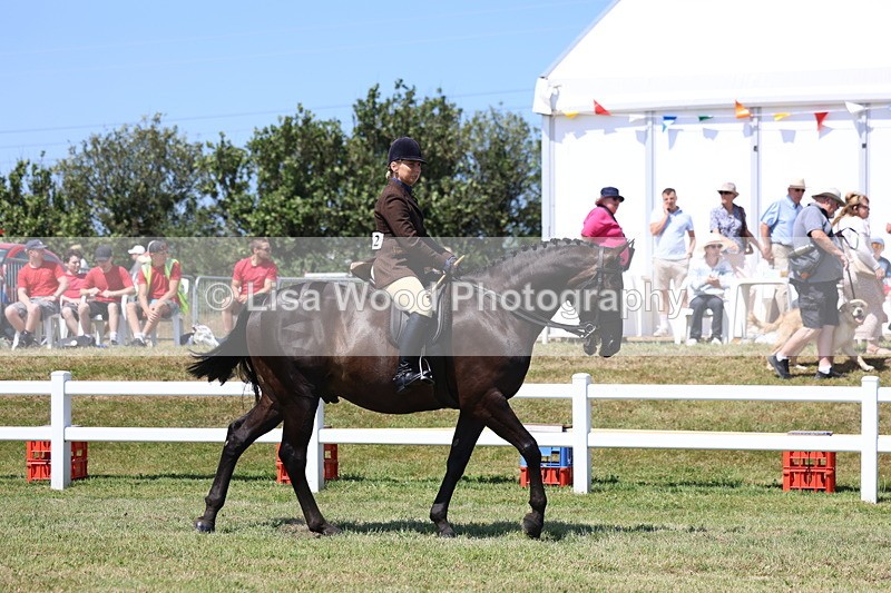 3E7A7962 - Class 9A: Open Small Hunter