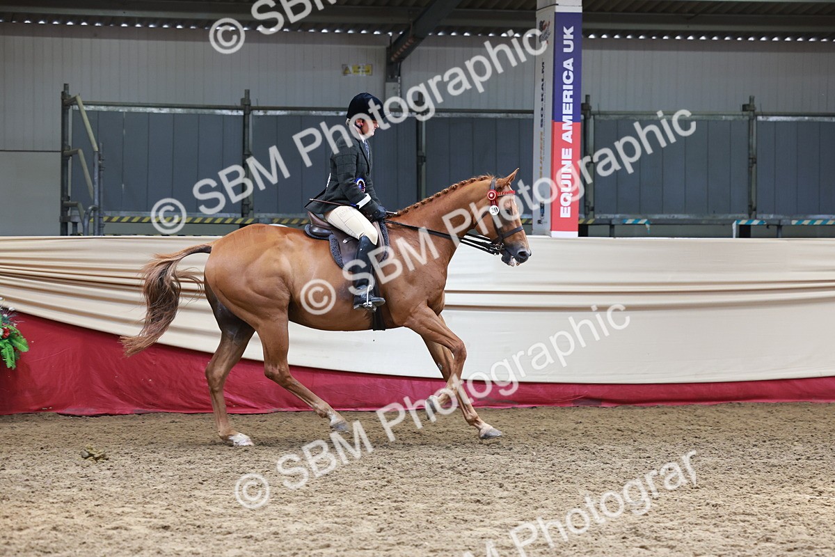 SBM_15002 - Class 108 - Ridden Retired Racehorse