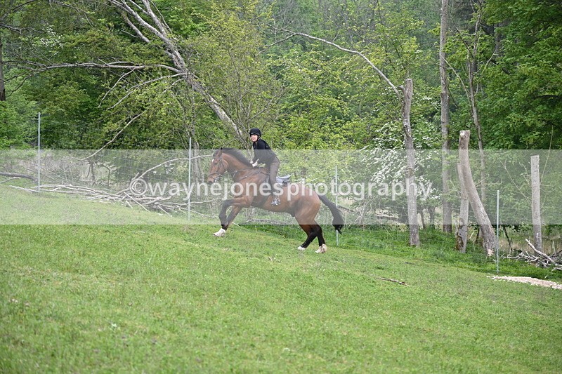 WJ6_2559 - A Camera