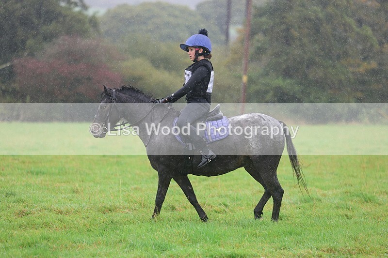 3E7A1052 - Class 1: 65cm: Rails