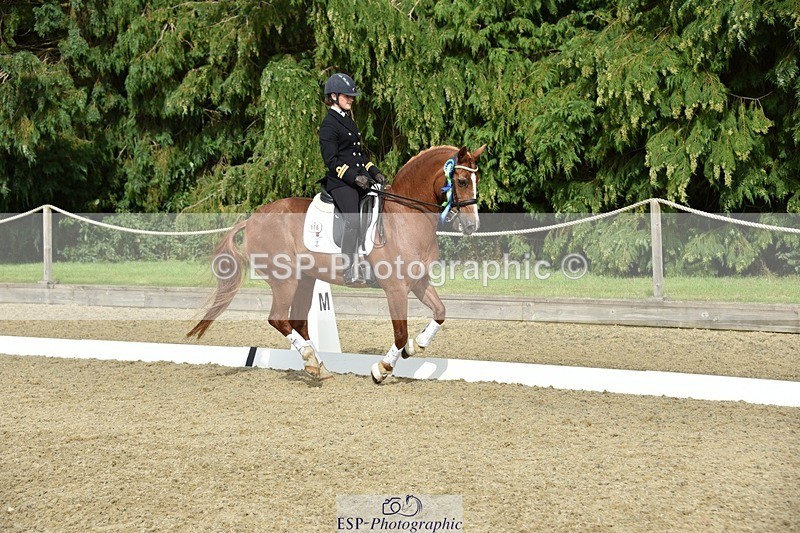 230812-160252-05319 - FEI PSG Bronze Presentations