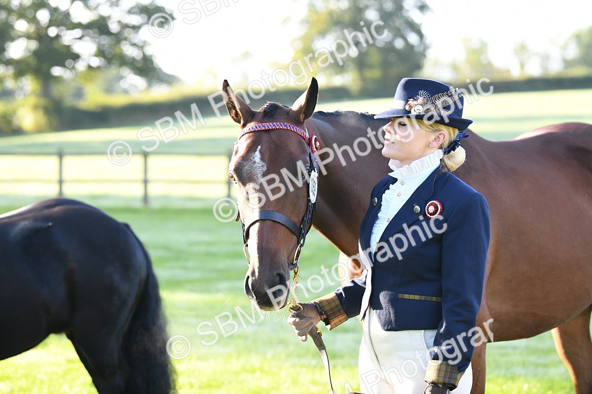 SBM_32794 - S15 - Condition & Turnout In Hand