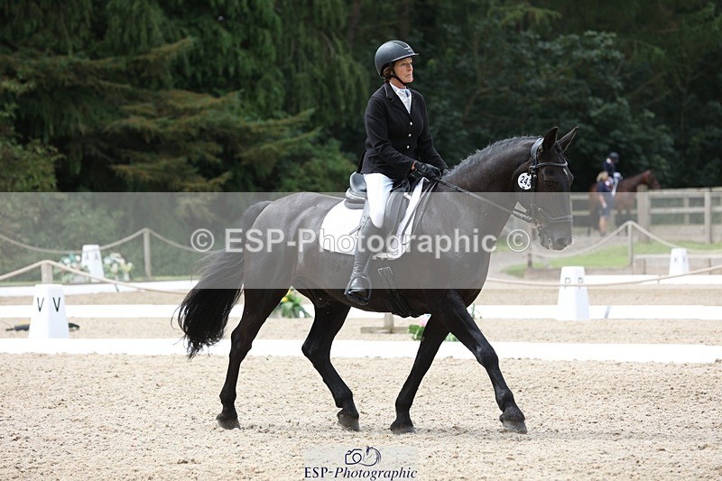 230812-123349-04036 - Cls 5 Novice Bronze 11.15 to 12.50 break