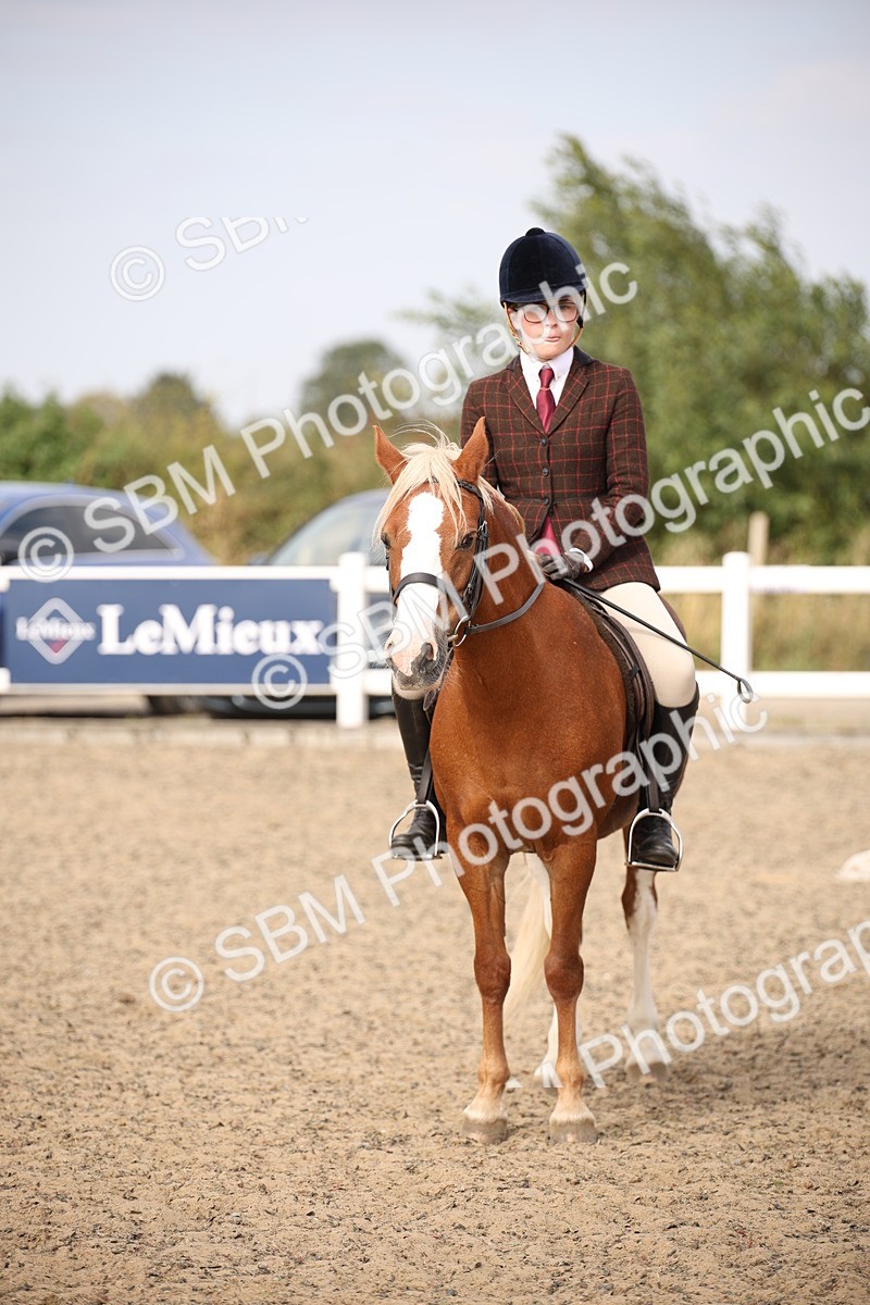 SBM_16099 - Class 408b - Working Veteran 70cm (20+)