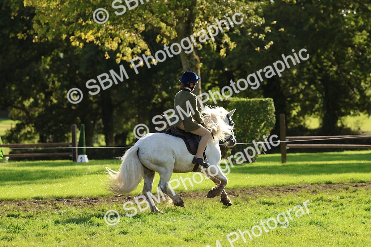 SBM_52413 - S13 - Pony Club Pony
