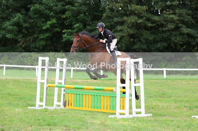 3E7A7201 - Class 5: Senior British Novice/90cm open