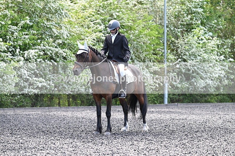 WJ7_8809 - Time 11:32 to 11:54