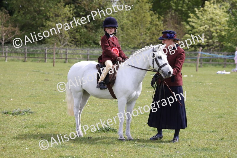 20260426-4066 - Small Pony Championship