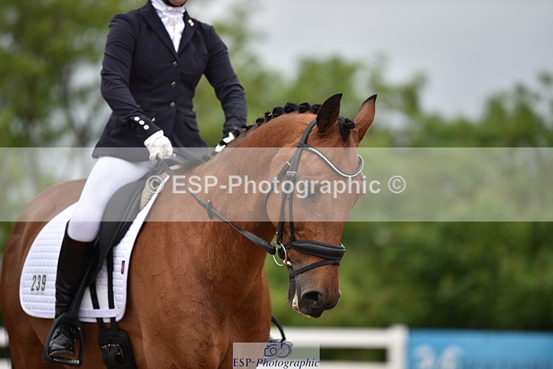 240623A-112052-17111 - Cls 47 BD Novice 22