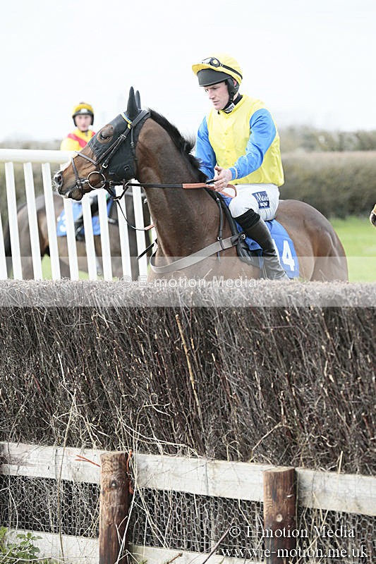 PtP 230319 209 - VWH Hunt Siddington Point-to-Point Racing 23/03/19